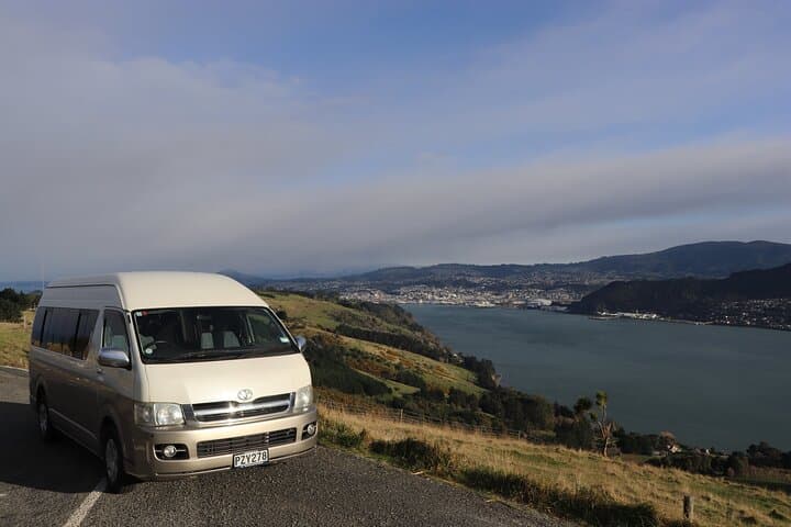 Half-Day Private City, Sights & Wildlife Tours