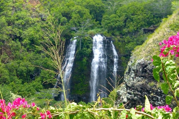 Kauai Eastside & Waterfalls-Shared Small Group Bus Tour