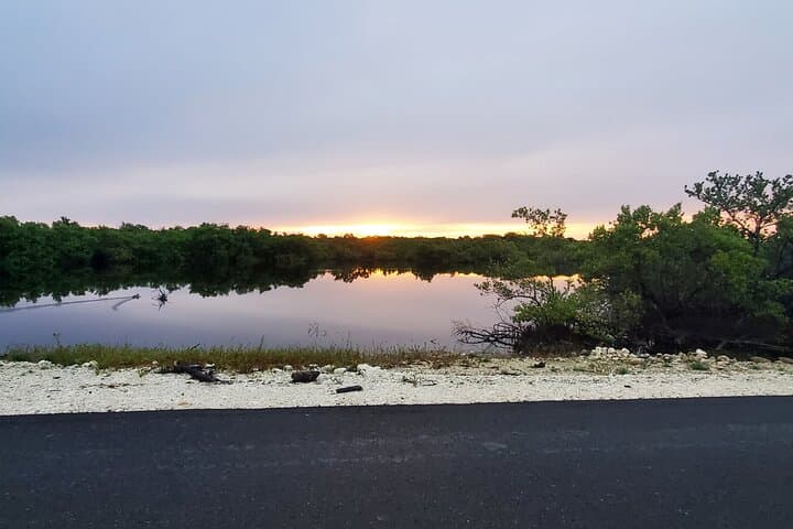 Unforgettable Land Tour on Long Island Bahamas 