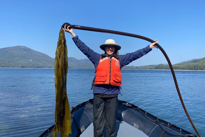 Alaska Ocean Wilderness Expedition 