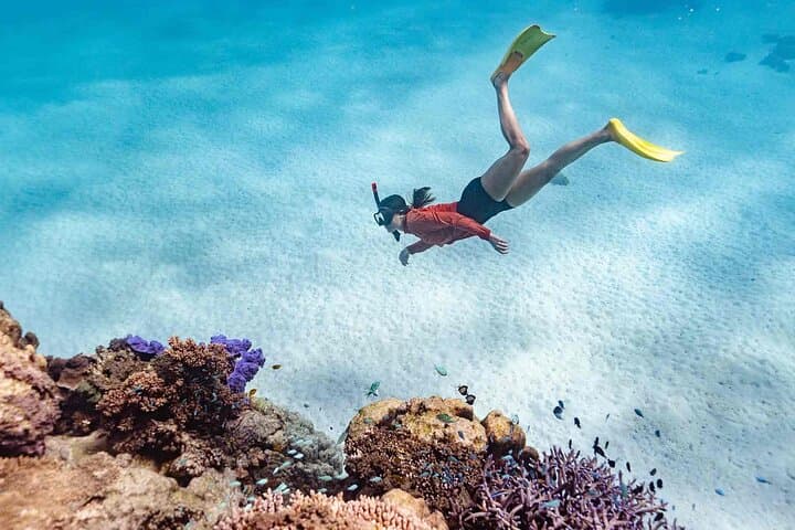 Ningaloo Reef Snorkel Adventure