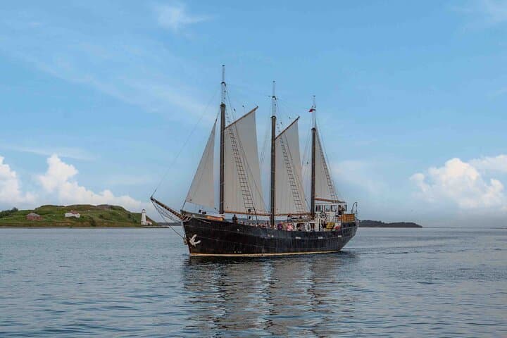 Tall Ship Silva Sailing Cruise Ft. a Live Musician 