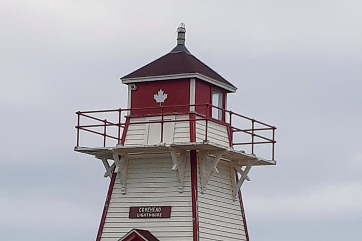 Deluxe North Shore and City Tour