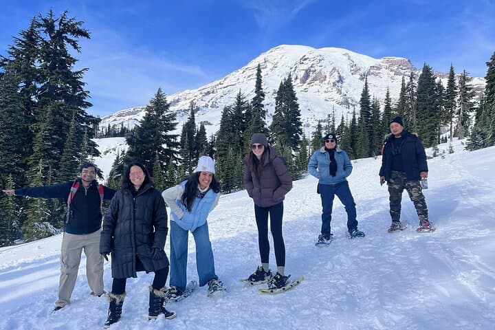 Mt. Rainier National Park Day Tour from Seattle 