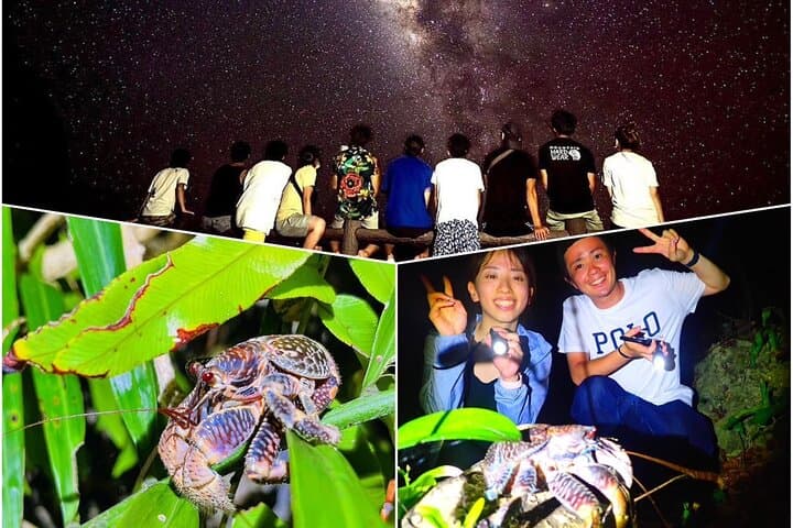 Okinawa Miyako Star Gazing & Subtropical Jungle Night Tour