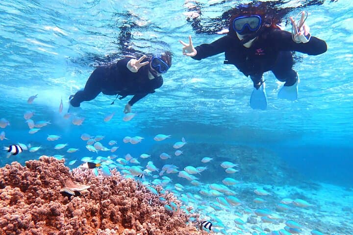 Okinawa Miyako Natural Aquarium! Tropical Snorkeling Tour