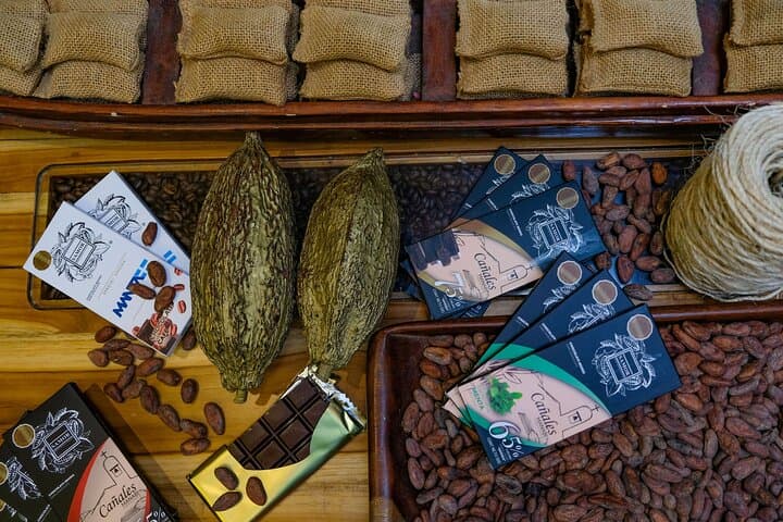 The ultimate Cocoa farm experience 