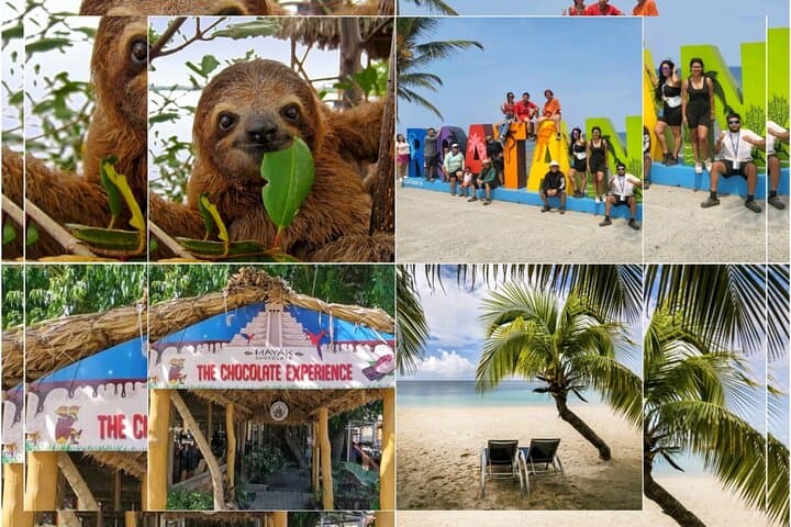 Roatan Sloths & Monkeys, Chocolate Factory plus Beach Break 