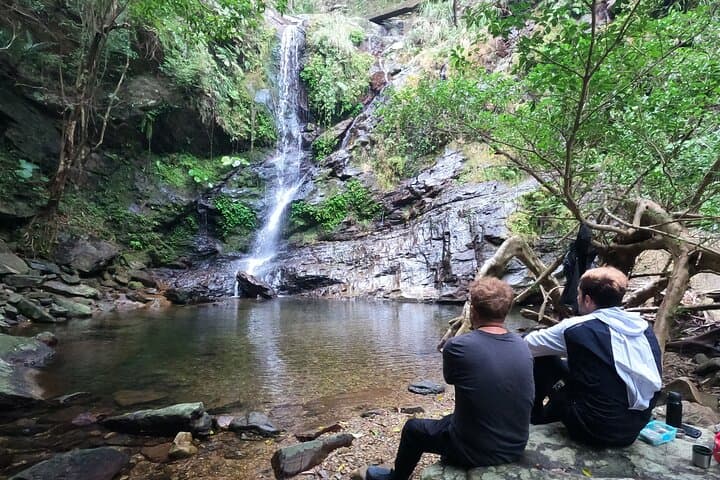 Jungle River Trek: private tour in Yanbaru, north Okinawa