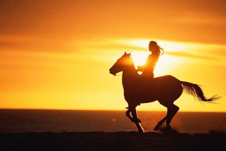  Agadir/Taghazout Horse Ride on the beach