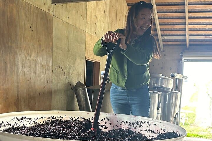 Chefs Private Martinborough Wine Tour with lunch from Wellington