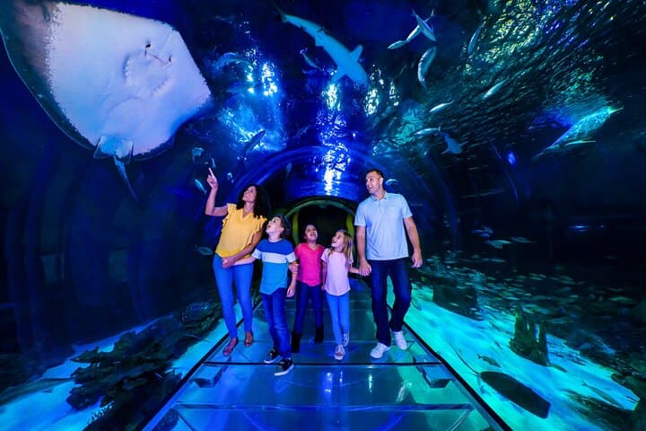 SEA LIFE Orlando Aquarium Admission Ticket at ICON Park