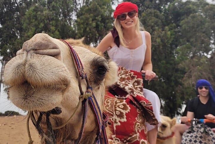 Agadir Camel Rides with Tea Drink & cakes