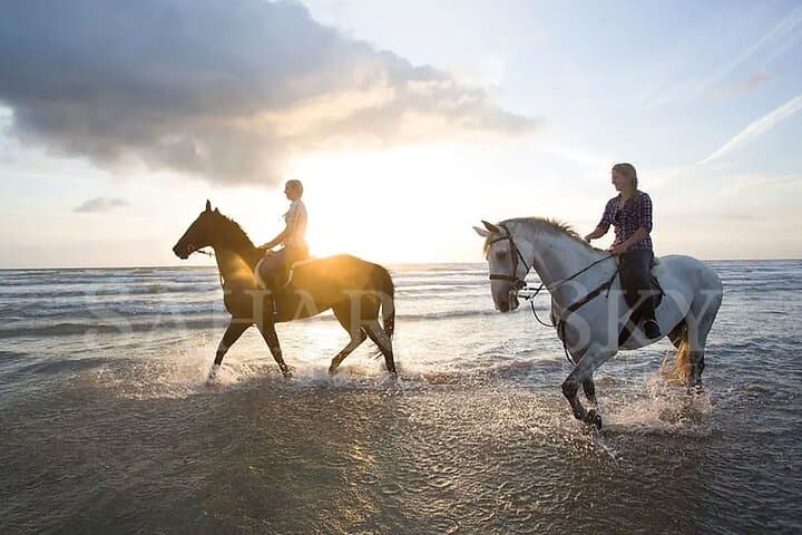 Horseback Riding in Djerba Lagoon