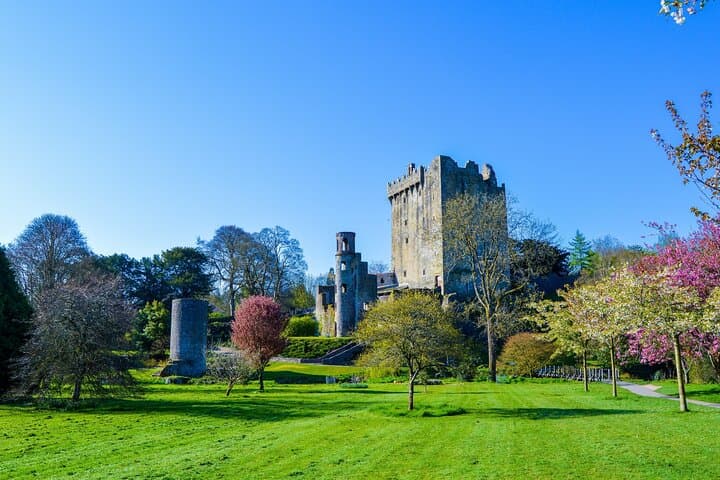 Private Tour: Classic Cork Tour visiting Blarney Castle & Kinsale