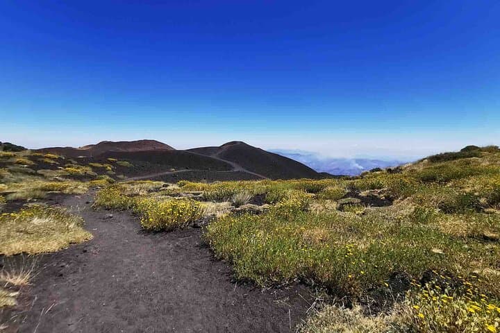 Etna Alcantara tour: the majestic lava landscape 