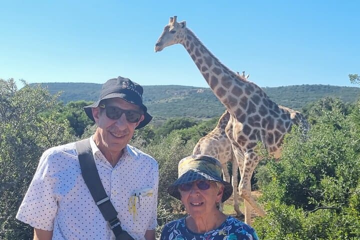 Private Full-Day Addo Elephant Park & Giraffe Walk 