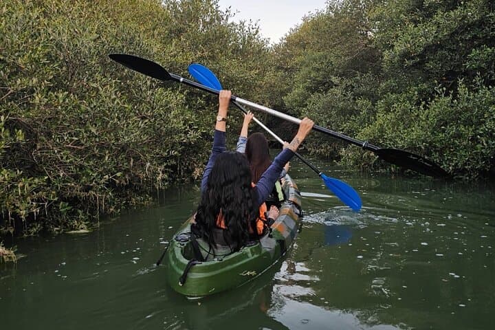 Mangrove Kayak Tour