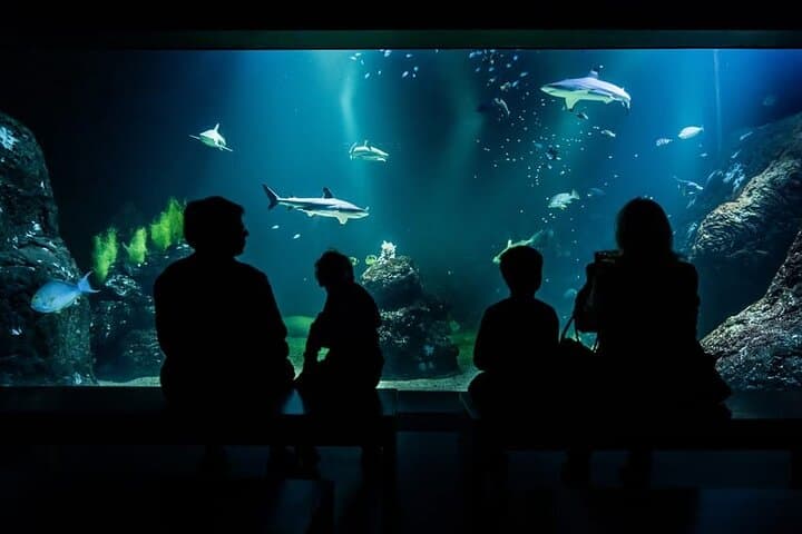 Gothenburg Universeum Ticket - Aquarium, Science, Wildlife, Zoo