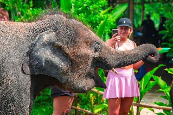6 Hours Elephant Care and Jungle Tour by 4WD in Koh Samui