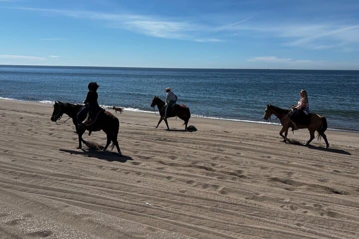 Horseback riding & Temazcal combo with lunch and mezcal tour