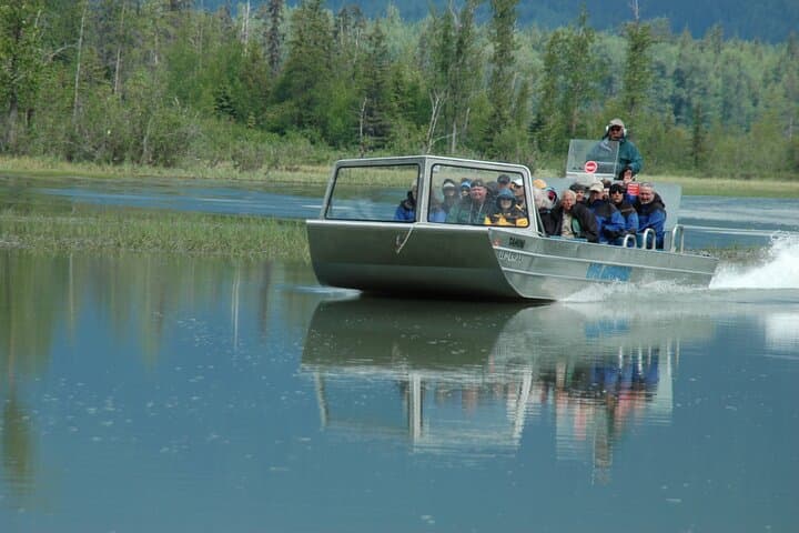 Chilkat River Jet-Boat Adventure in Haines