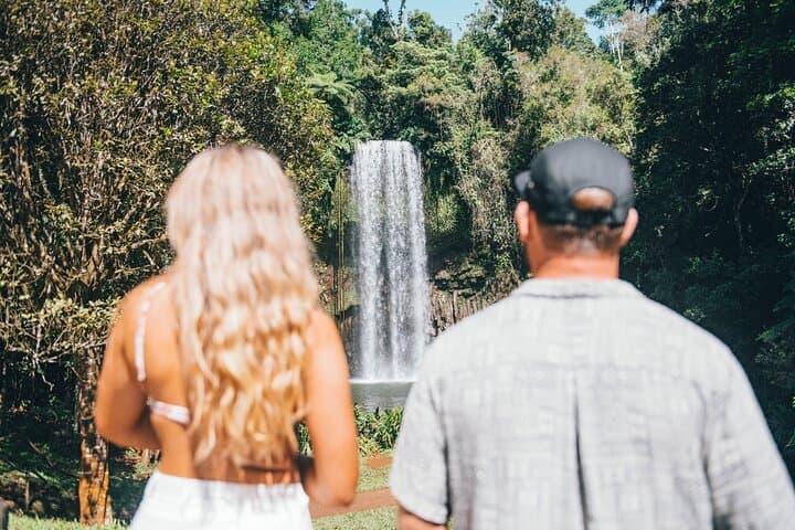 All Inclusive Waterfalls and Rainforest Tour from Cairns 