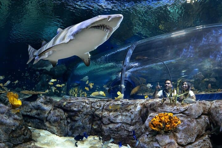 Mauritius Odysseo Oceanarium in Port Louis 