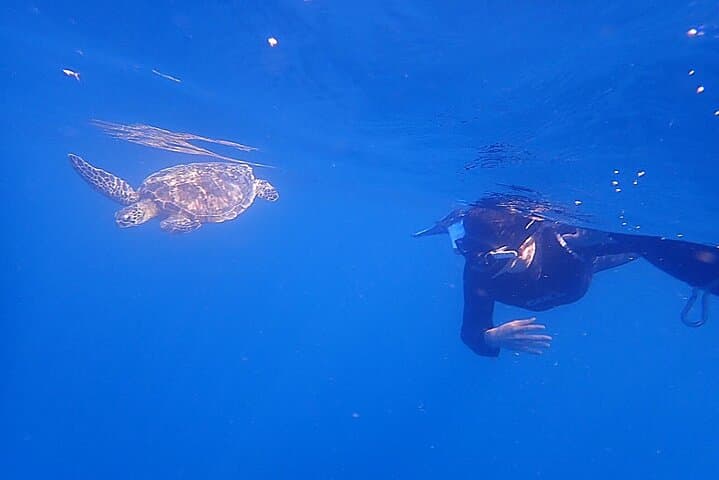 Discover Ishigaki's Hidden Treasures Snorkeling Tour at BlueCave 