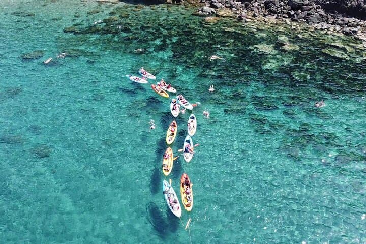 Cape Cat Kayak and Snorkel on the Mermaid Reef