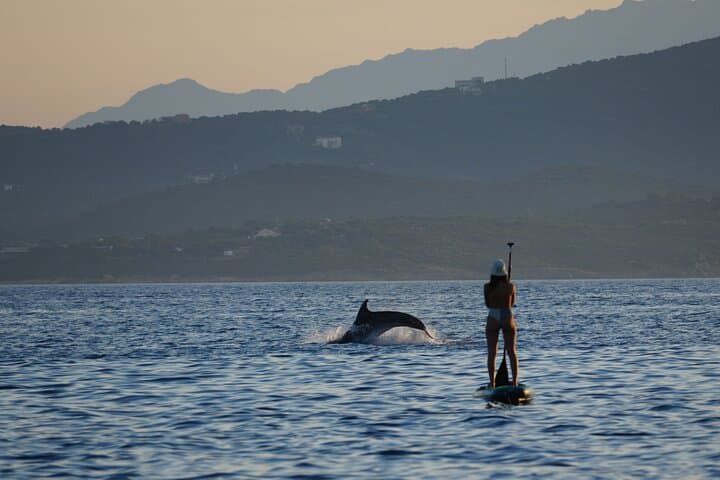 Stand Up Paddle With Dolphins, aperitif and pictures