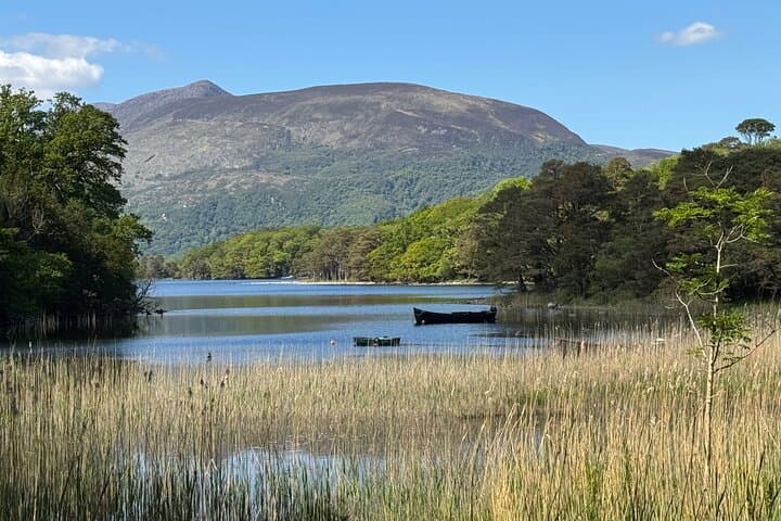 Killarney & Kerry Highlights | Private Day Tour | Max 7 Guests