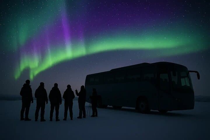 Northern Lights Hunt from Alta Cruise Harbor