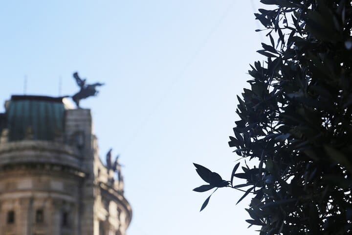 Discover Vigo Historical and Cultural Private Walking Tour