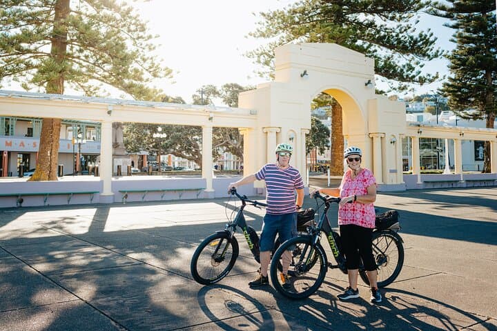 Napier E-bike Hire
