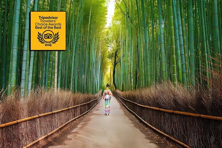 Top-Rated Arashiyama Tour: Bamboo, Monkeys, Zen Garden & Secrets
