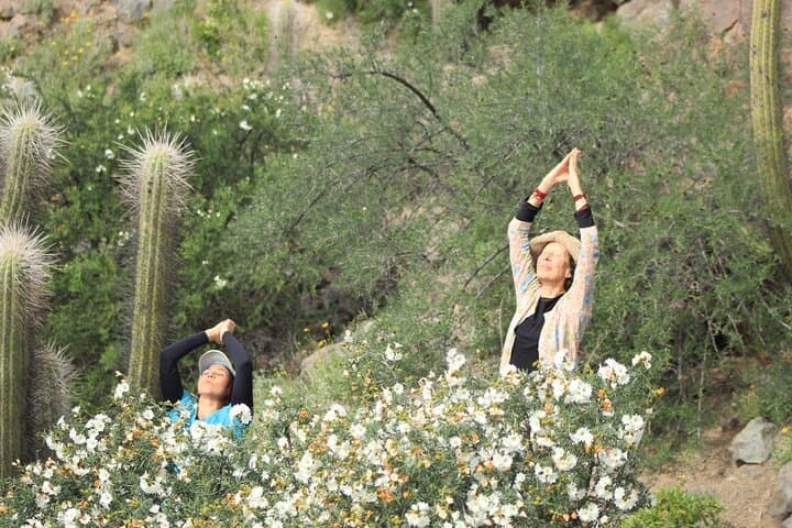 Wellness Trail in Vicuña Elqui Valley Mountain Retreat