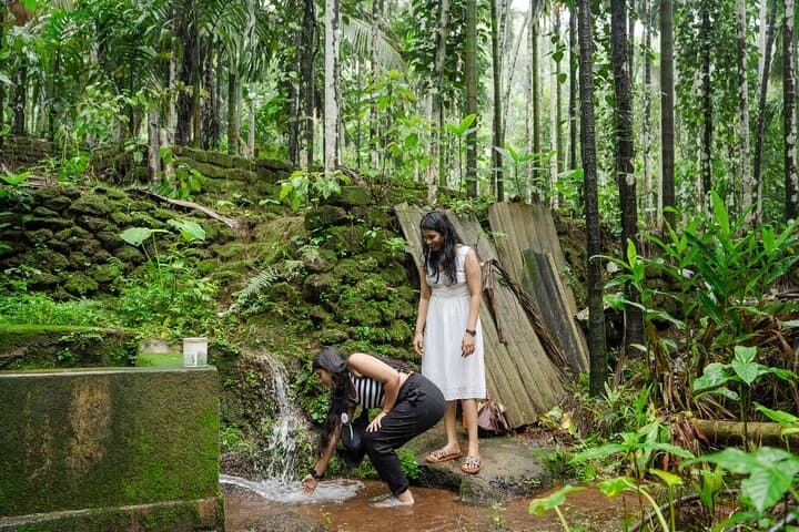 The Goan Hinterland Experience in South Goa