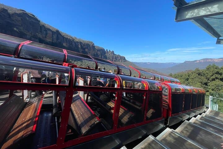 Private Luxury Blue Mountain Tour with Wildlife and River Cruise
