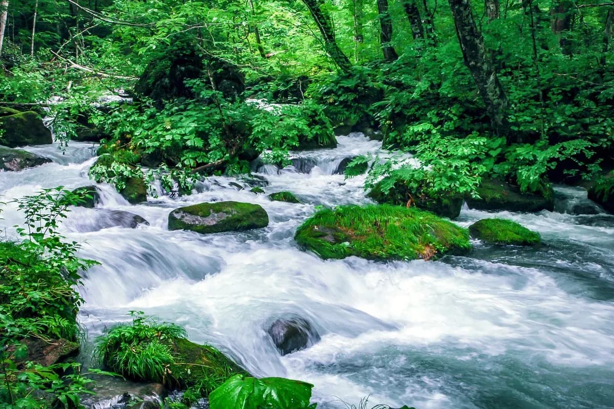 Aomori Shore Excursions