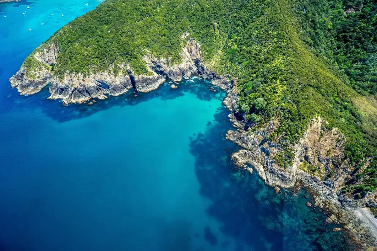 Bay of Islands Shore Excursions