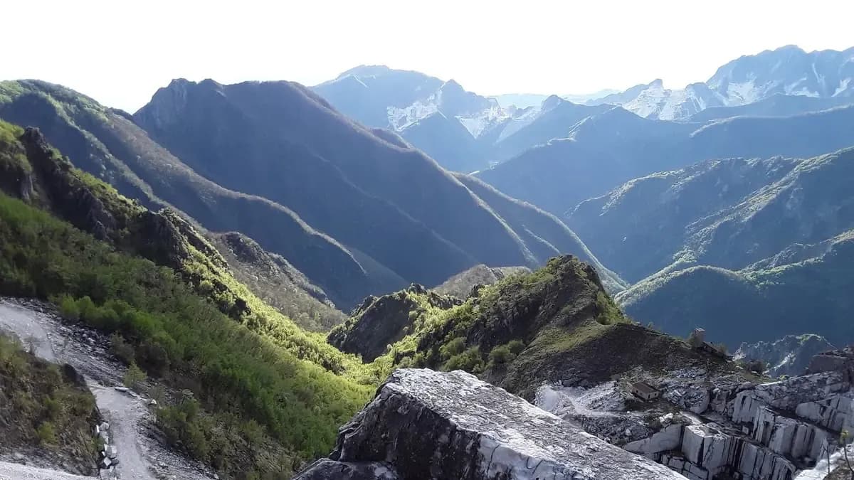 Carrara Shore Excursions