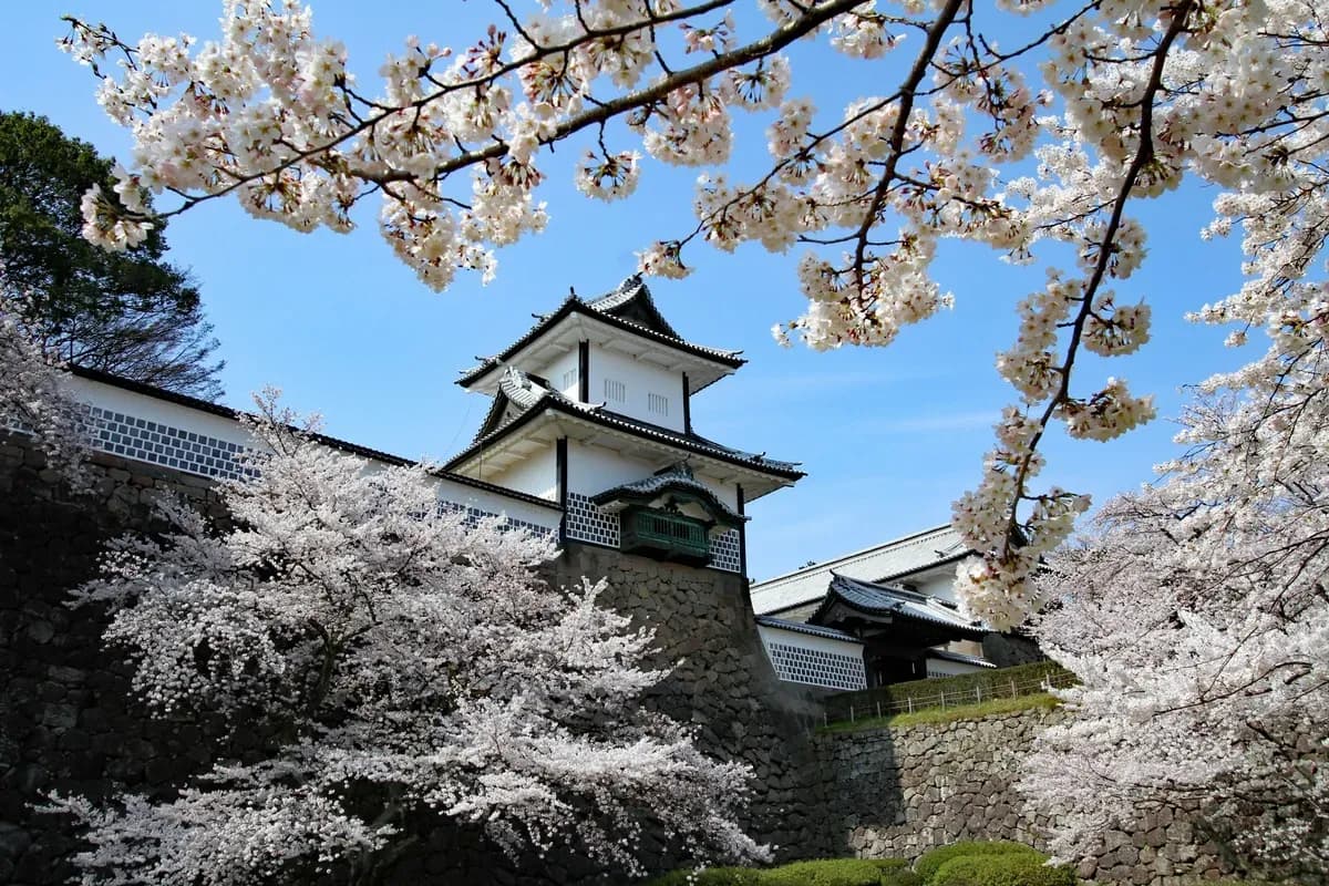 Kanazawa Shore Excursions