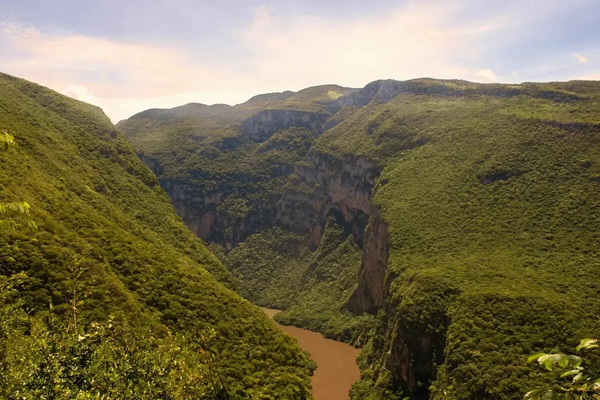 Puerto Chiapas Shore Excursions