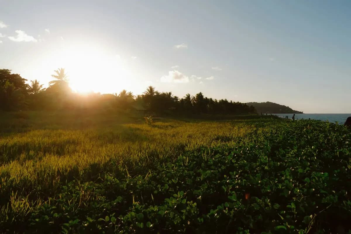 Devil's Island Shore Excursions