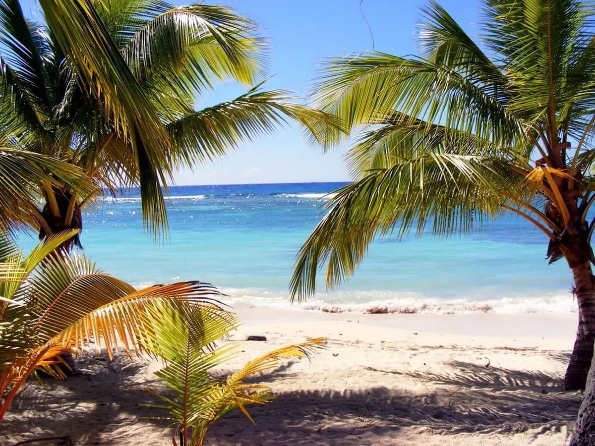 Dominica Shore Excursions