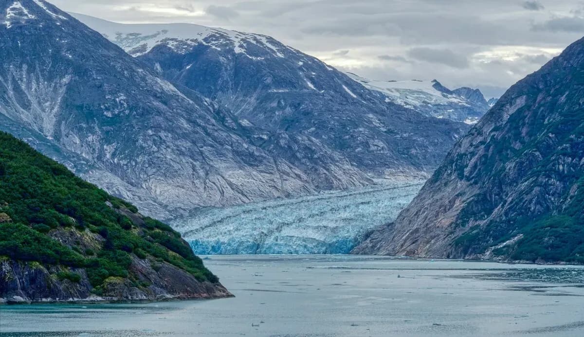 Endicott Arm, Alaska Shore Excursions
