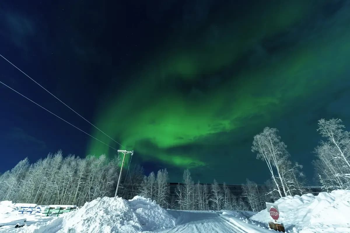 Fairbanks, Alaska Shore Excursions