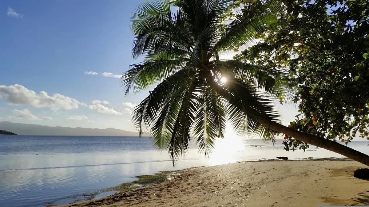 Dravuni Island Shore Excursions