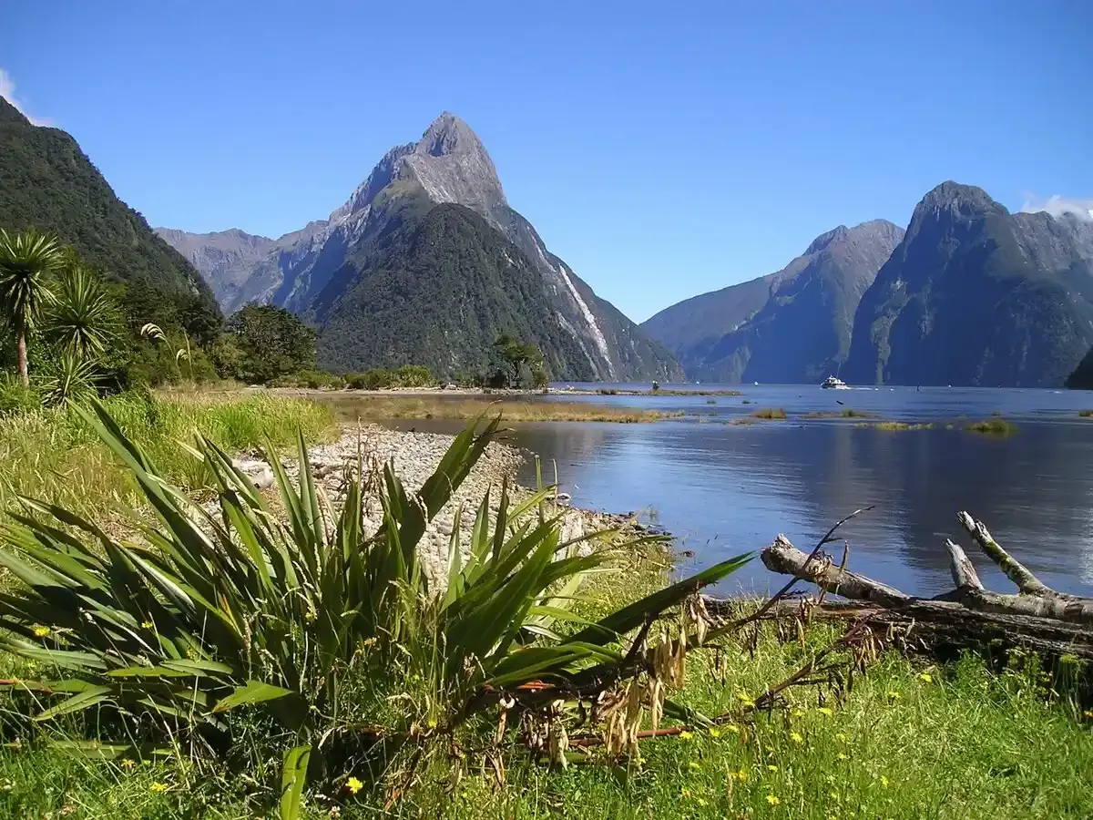 Fiordland National Park Shore Excursions